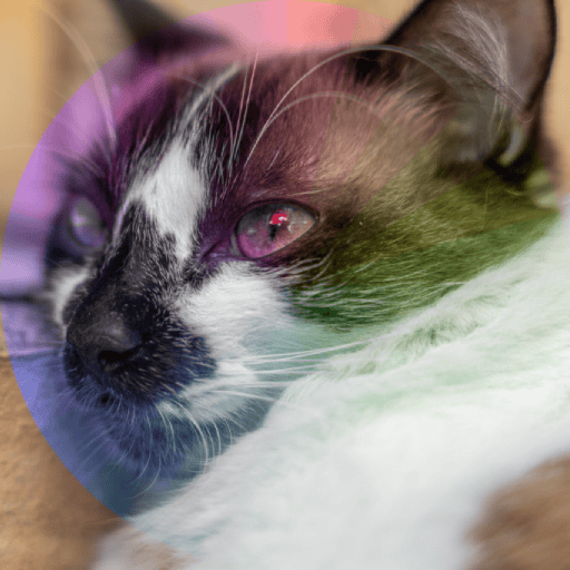 Preview of Hue blend mode