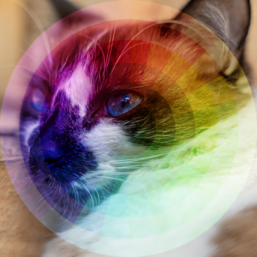 Preview of SoftLight blend mode