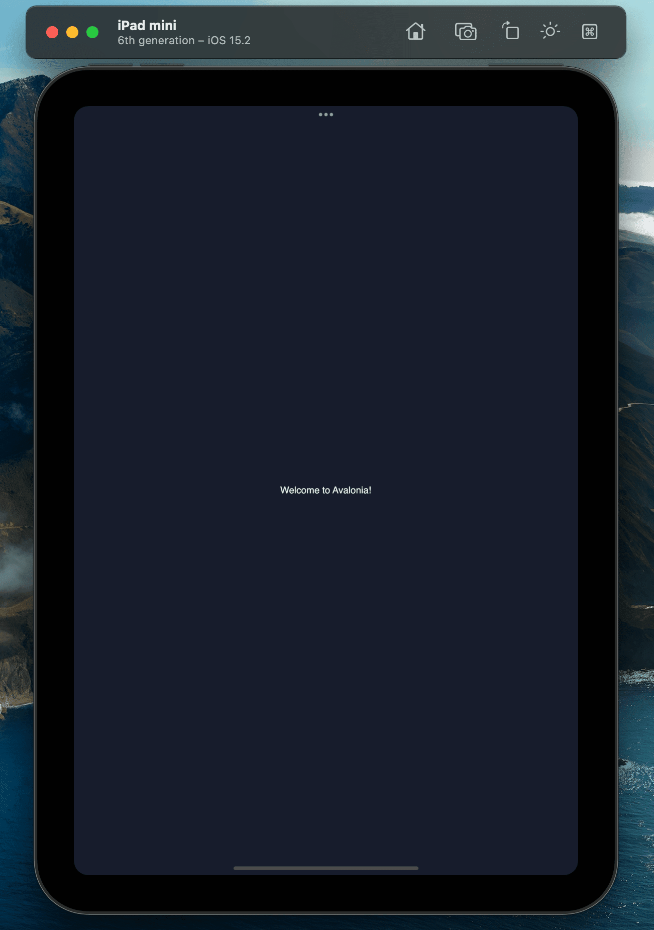 Application running on iPad simulator